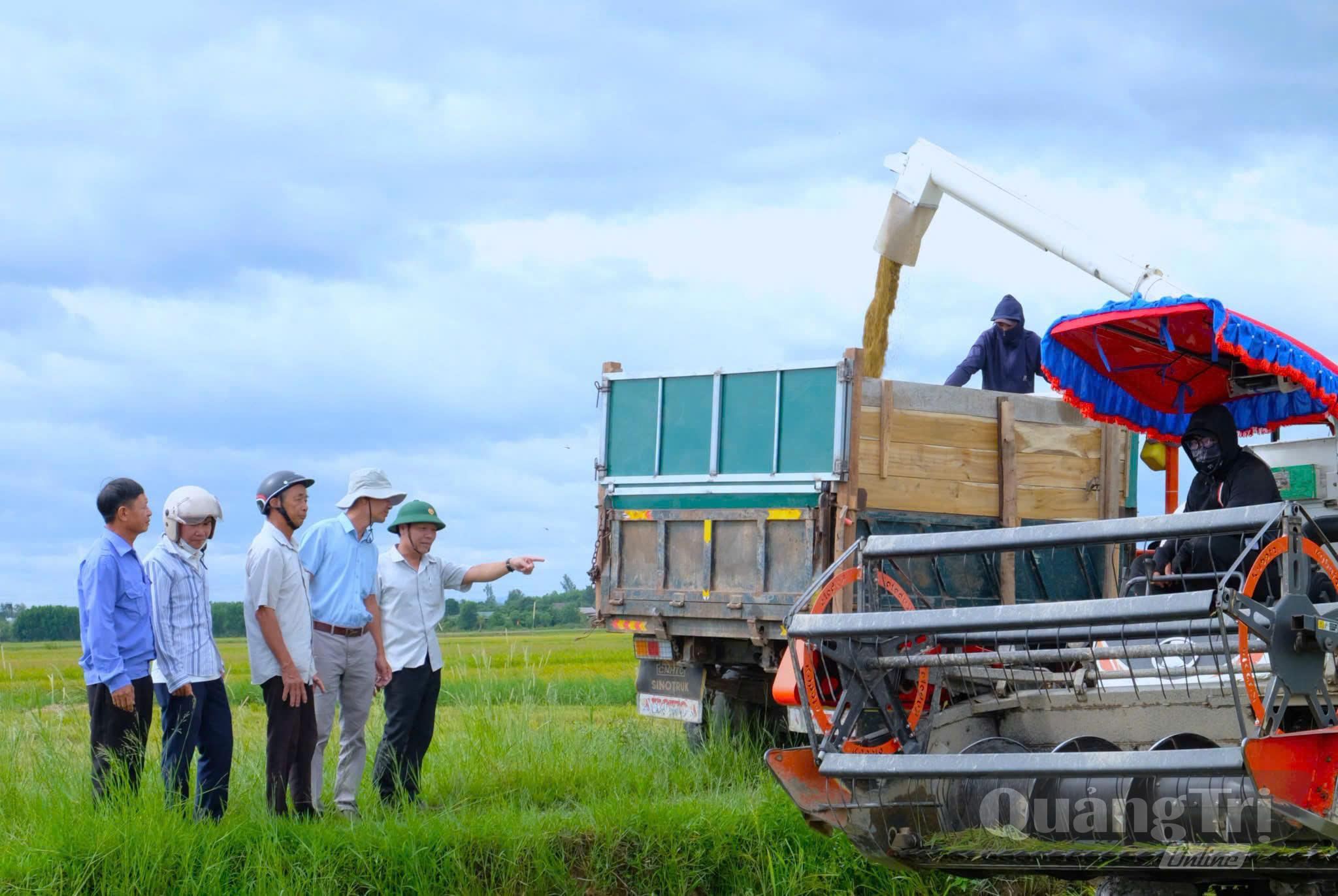 Cơ giới hóa góp phần nâng cao hiệu quả sản xuất - Ảnh M.H