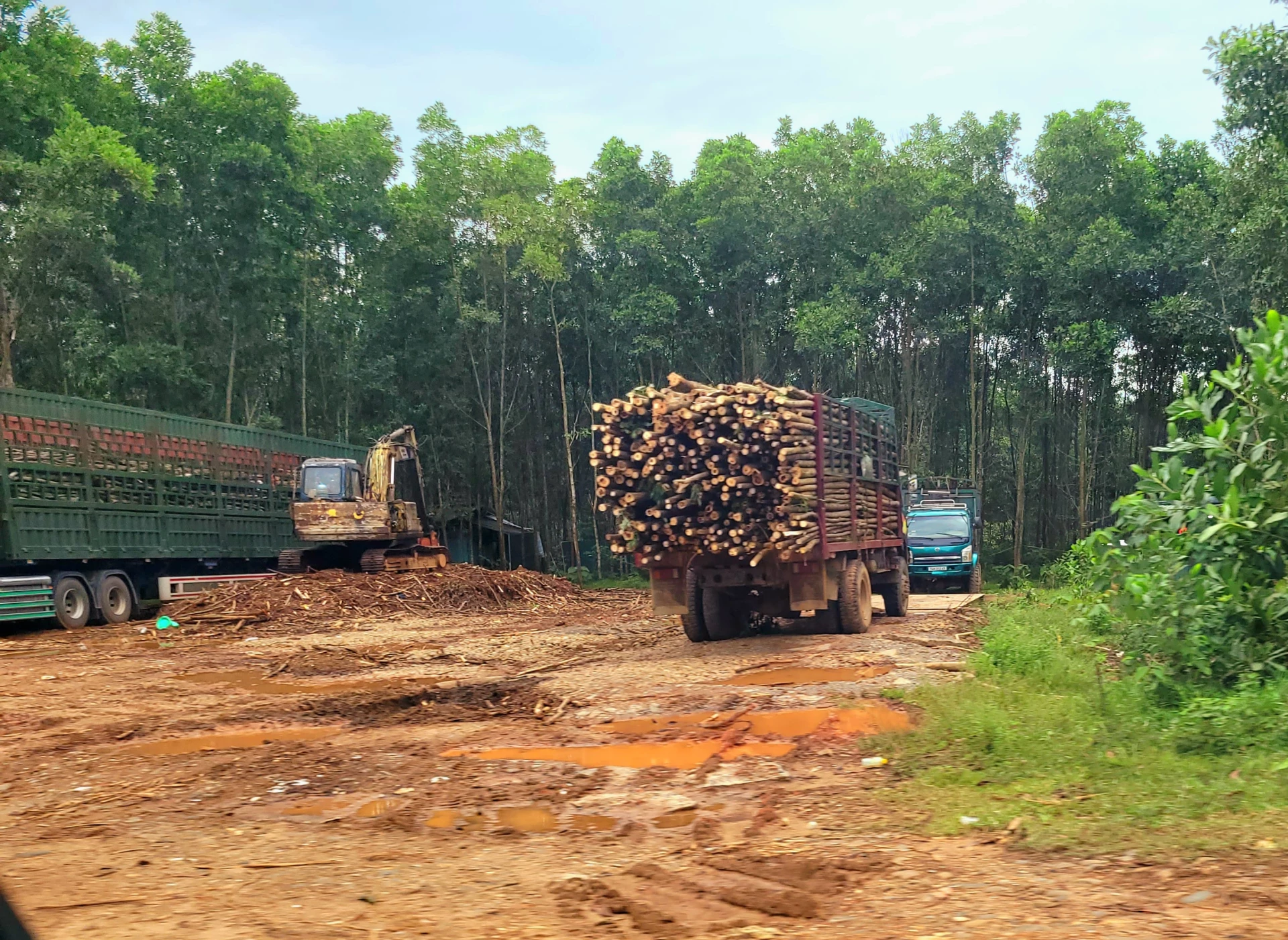 Trạm cân tại thửa đất nhà bà Lê Thị Diệu - Ảnh: T.T
