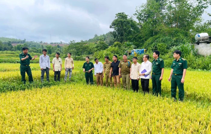 Gieo 'mùa vàng' nơi biên viễn