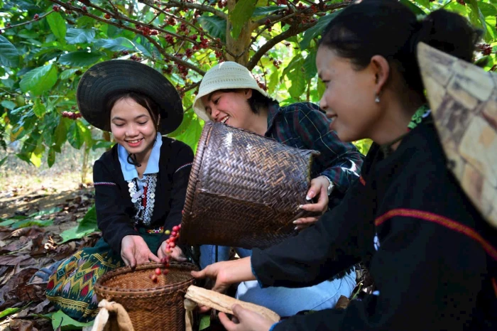 Thúc đẩy phát triển kinh tế nông nghiệp ở Hướng Phùng