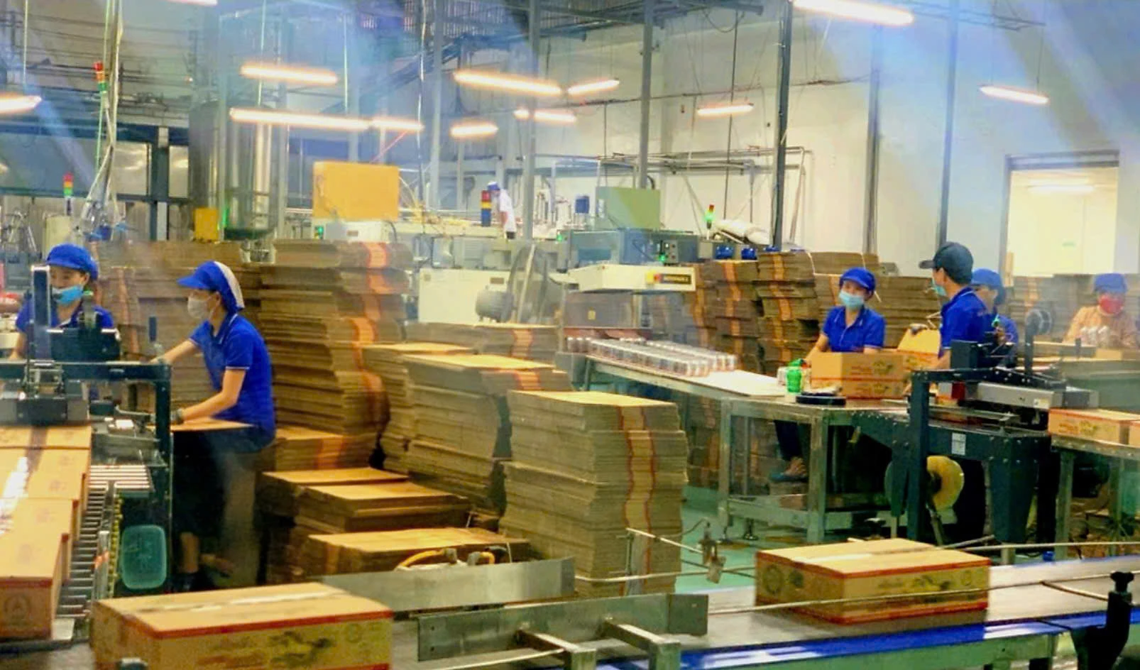 Người lao động ở Công ty TNHH Chaichareon Việt – Thái được làm việc trong môi trường an toàn, thân thiện - Ảnh: K.S