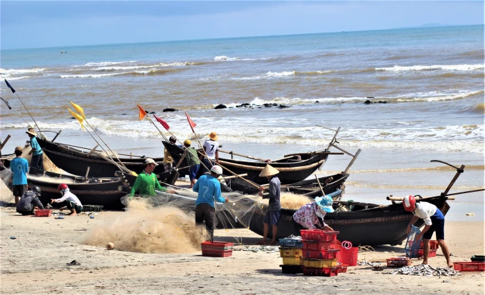 Sống nhờ rạn biển