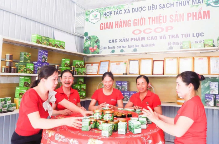 Nâng tầm vườn dược liệu