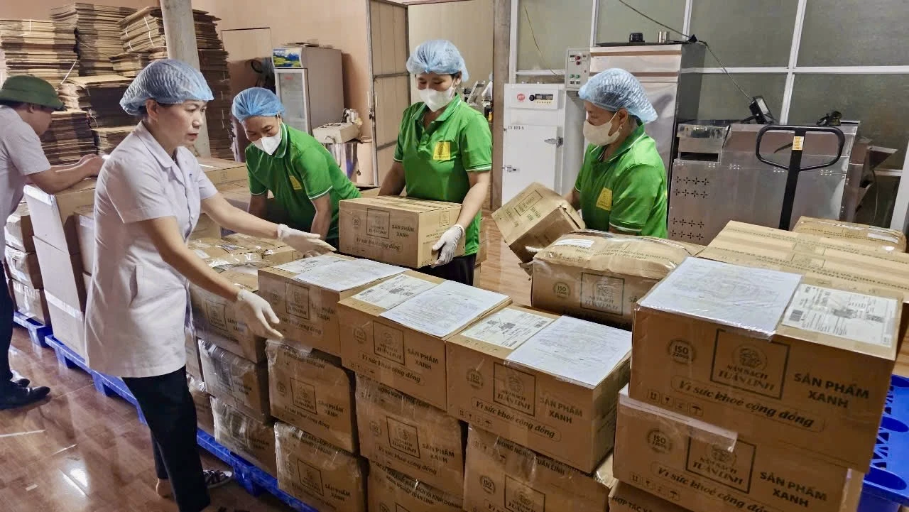 Để đưa sản phẩm vào siêu thị, Hợp tác xã Tuấn Linh bảo đảm chất lượng sản phẩm, thông tin rõ ràng và đầy đủ hồ sơ pháp lý - Ảnh: Đ.V