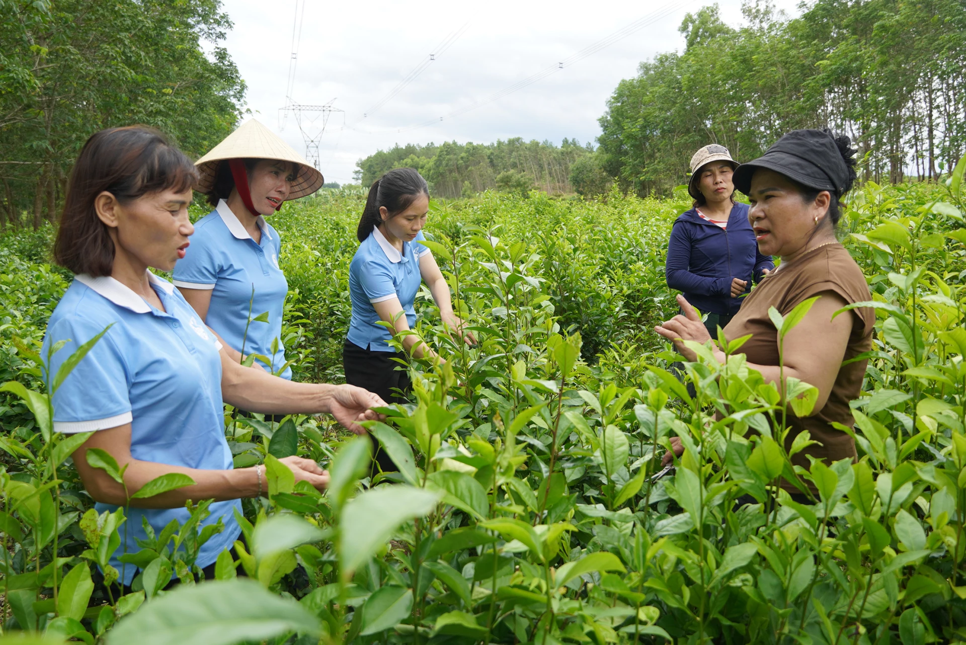 Mô hình trang trại của chị Nguyễn Thị Nga được nhiều chị em hội viên phụ nữ đến tham quan, học hỏi - Ảnh: L.M