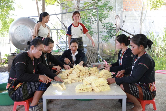 Cải thiện sinh kế từ tổ hợp tác măng rừng