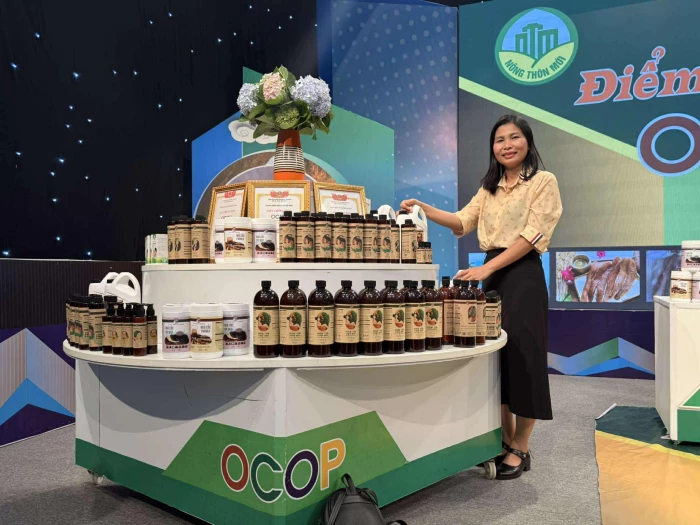 Tân Mỹ: Tập trung nguồn lực xây dựng nông thôn mới