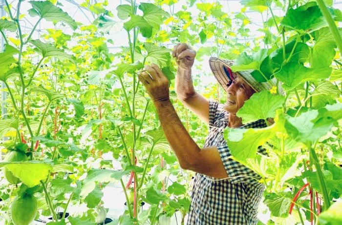 Hướng đến nền nông nghiệp bền vững