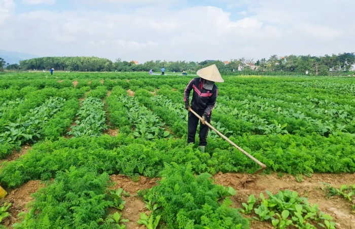 Tạo động lực phát triển bền vững