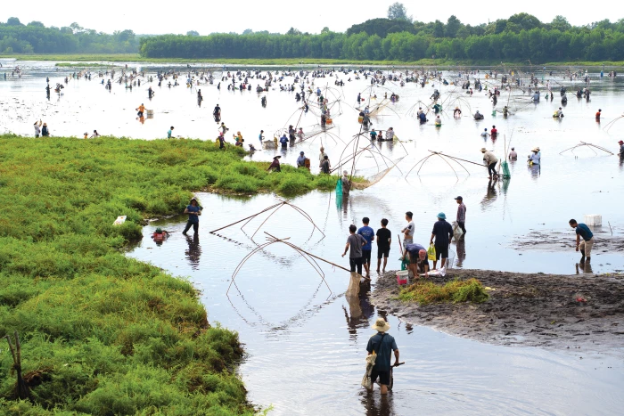 Quảng Trị muôn vẻ: 300 năm lễ hội Phá trằm