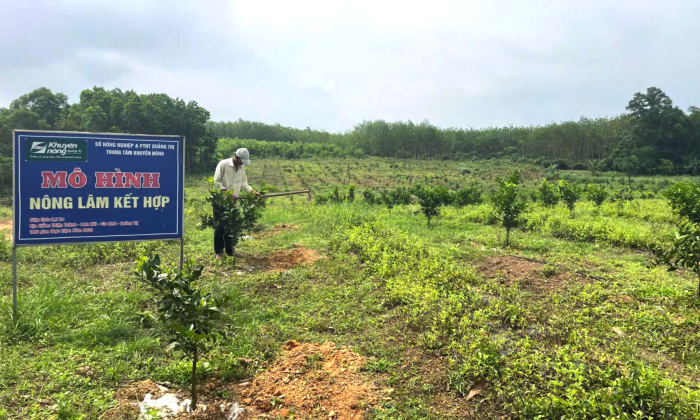 Hướng đi mới trong phát triển kinh tế ở vùng gò đồi