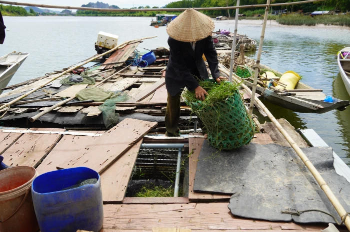 Người nuôi trồng thủy sản chủ động ứng phó trước mùa mưa lũ