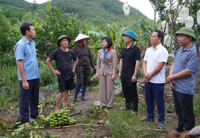 Kiểm tra tình hình thiệt hại cây trồng sau bão số 10