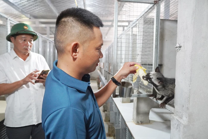Xã Đông Trạch: Triển vọng từ mô hình nuôi chồn hương
