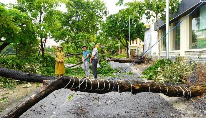 Các phường Đồng Hới, Đồng Sơn và Đồng Thuận khắc phục hậu quả thiệt hại do bão
