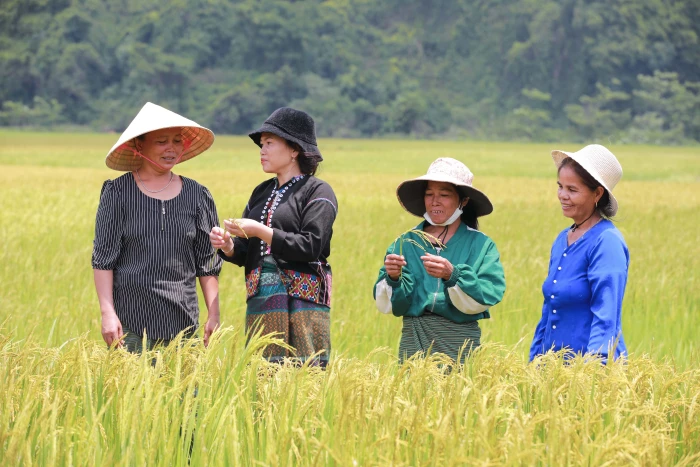 Hướng Lập sức sống đôi bờ Sê Băng Hiêng