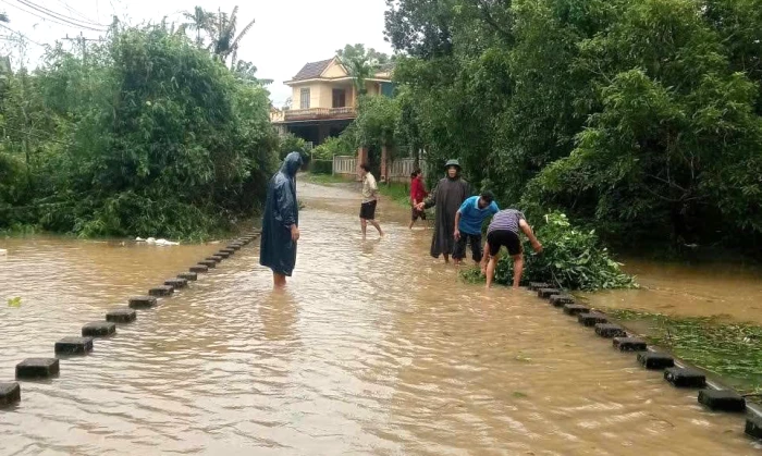 Nhiều địa phương mất điện do ảnh hưởng bão số 10