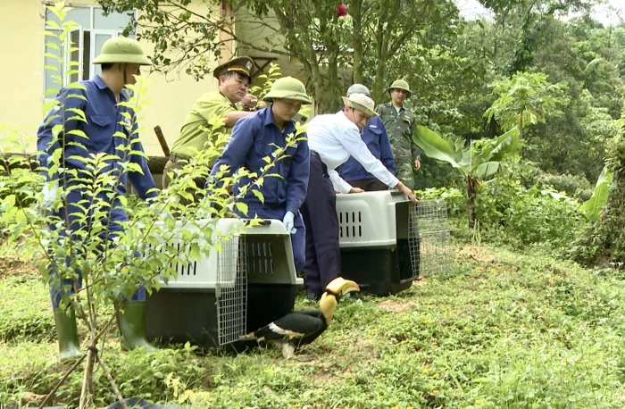 Thả 27 cá thể động vật hoang dã về môi trường tự nhiên