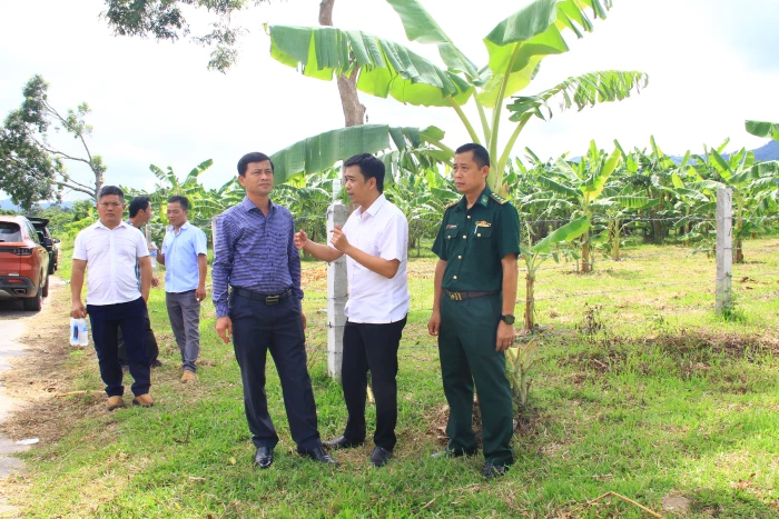 Khẩn trương làm điểm tập kết, di dời “chợ chuối” Tân Long