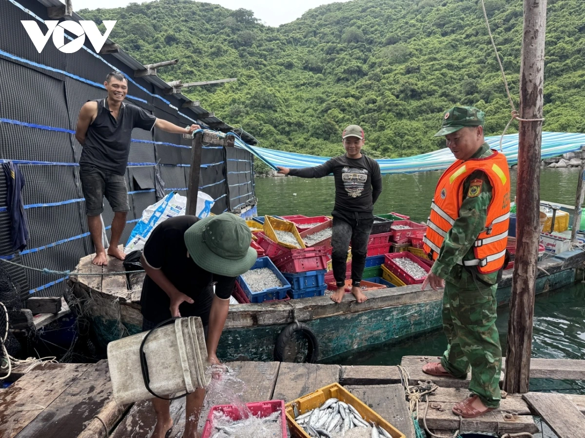 Người dân ven biển Đắk Lắk chủ động ứng phó mưa bão