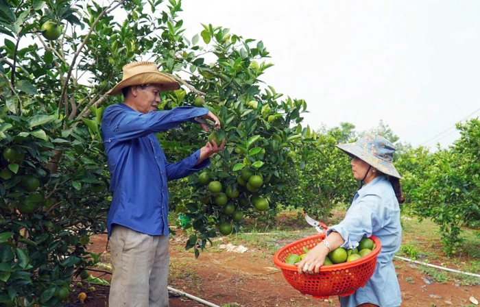 Diện mạo mới, sức sống mới