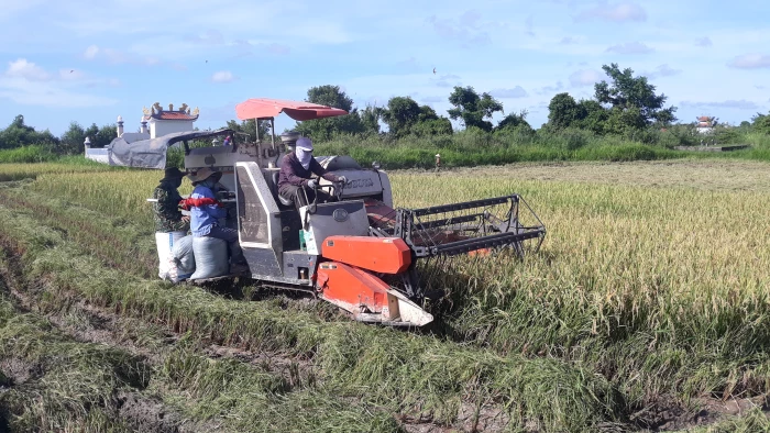 Triệu Phong đẩy mạnh tái cơ cấu ngành nông nghiệp