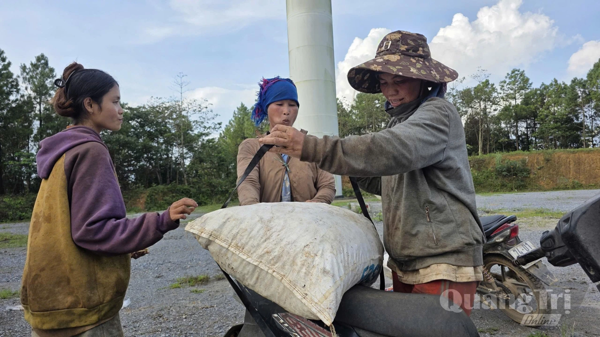 Thu mua hạt trẩu ở Hướng Phùng - N.T.H