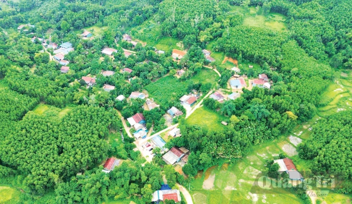 Từ 'Bình dân học vụ số 1.1.1'...