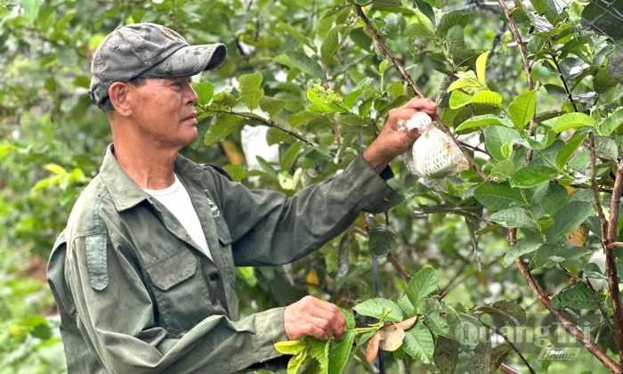 Khơi dậy khát vọng thoát nghèo