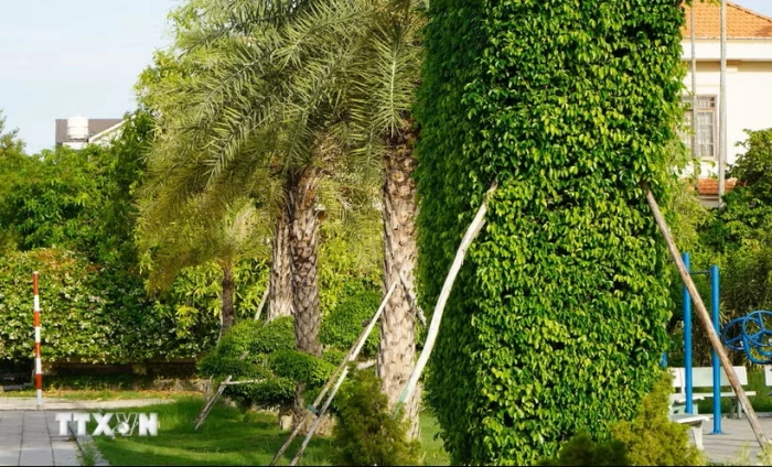 Xóa tư cách Chủ tịch 3 huyện liên quan vụ án Cây xanh Công Minh