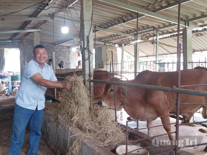 Làm giàu từ đất đồi