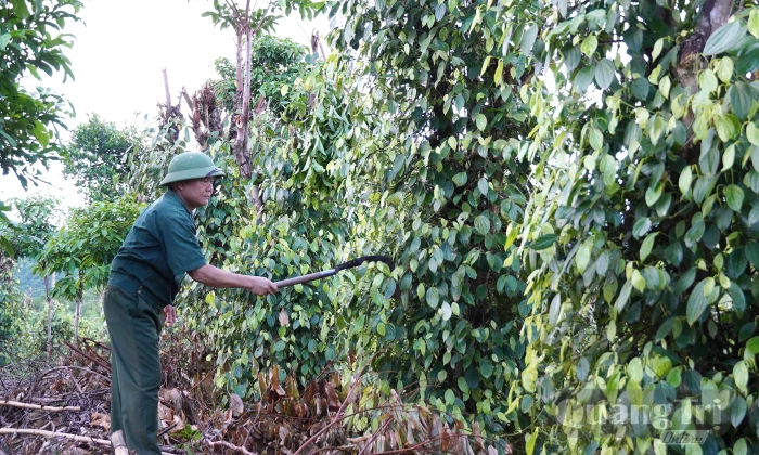 'Thước đo' của niềm tin