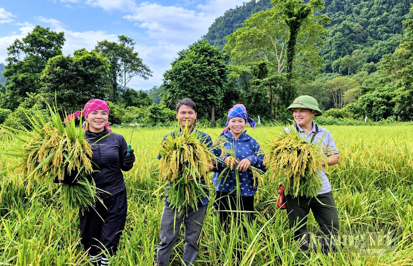 Phụ nữ xã Thượng Trạch vui mùa lúa mới - Ảnh: T.S