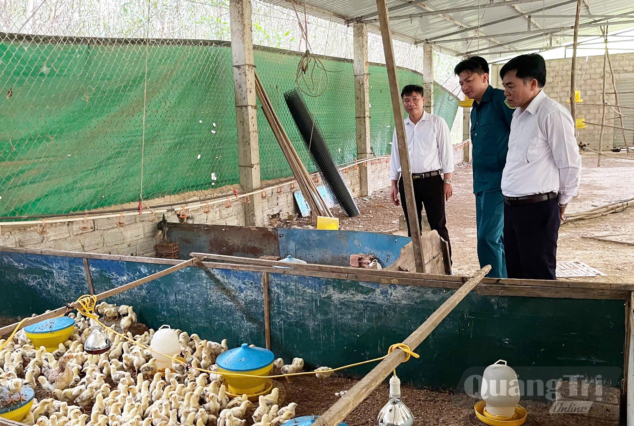 Nhiều mô hình phát triển kinh tế phù hợp với điều kiện của địa phương từng bước nâng cao năng suất và hiệu quả kinh tế cho người dân xã Kim Phú - Ảnh: X.P