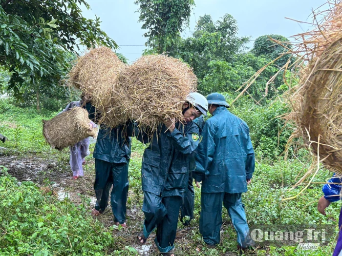 Bộ Chỉ huy Quân sự tỉnh chủ động giúp Nhân dân ứng phó với mưa lũ