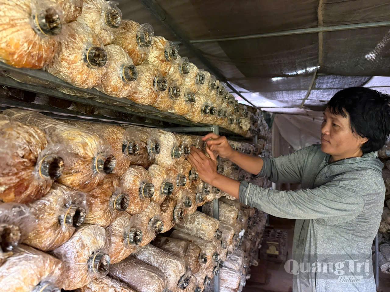 Chị Nguyễn Thị Hà, thôn Lan Đình áp dụng khoa học kỹ thuật vào trồng nấm mang lại hiệu quả cao - Ảnh: P.K