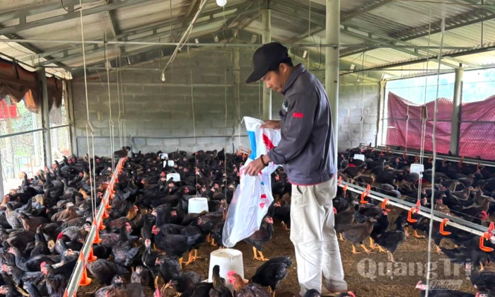 Tạo đà phát triển kinh tế trang trại