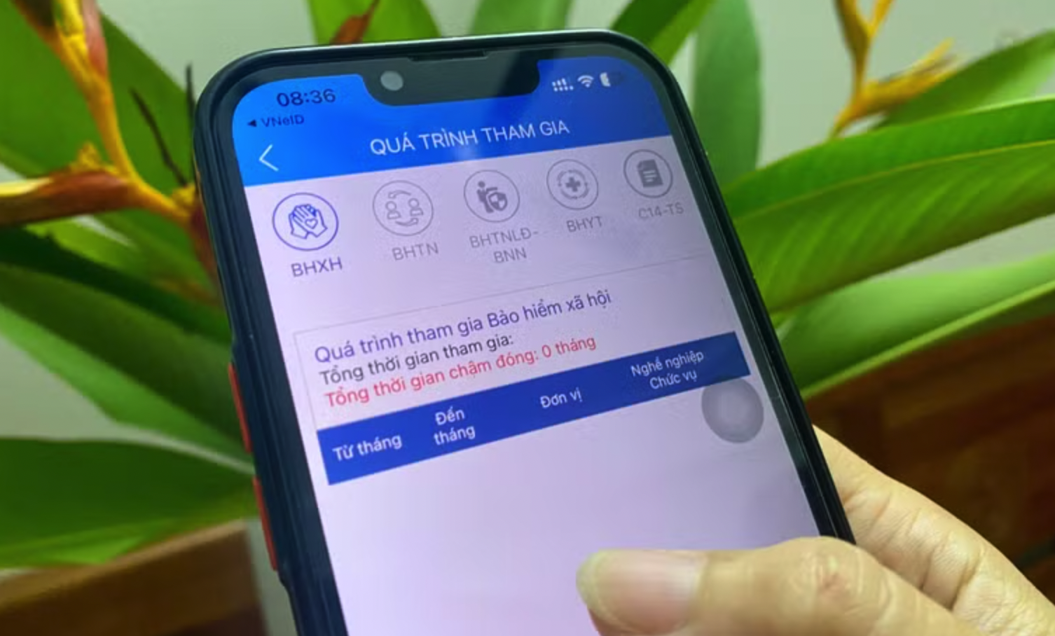 Người dân cần kiểm tra, gia hạn bảo hiểm y tế đúng hạn để đảm bảo quyền lợi khi khám chữa bệnh. (Ảnh: PV/Vietnam+)