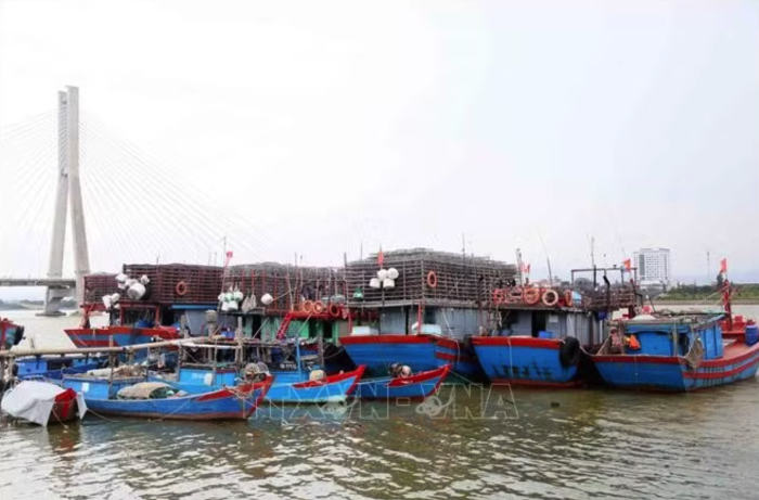 Khẩn trương đưa tàu thuyền vào nơi tránh trú áp thấp nhiệt đới