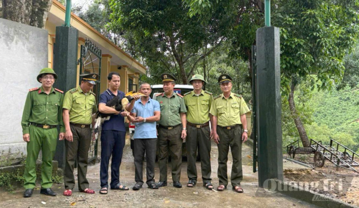 Phát hiện, xử lý 140 vụ vi phạm pháp luật bảo vệ rừng