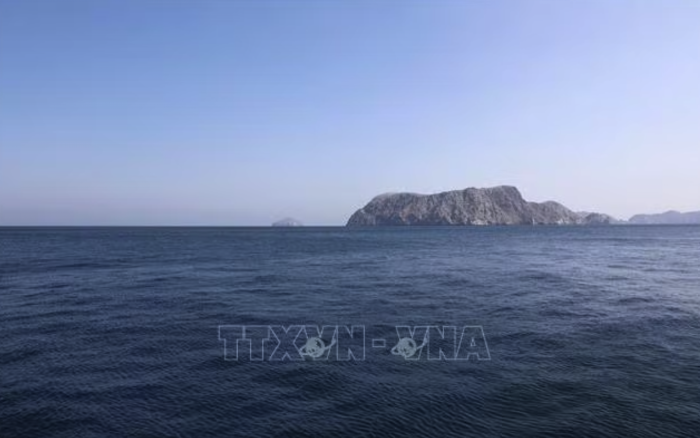 Nhiều quốc gia kêu gọi khôi phục tự do hàng hải tại eo biển Hormuz
