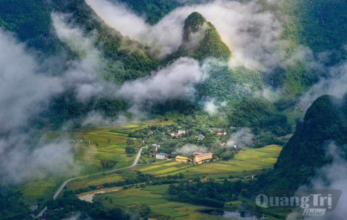 Phong Nha mạch sống của rừng già