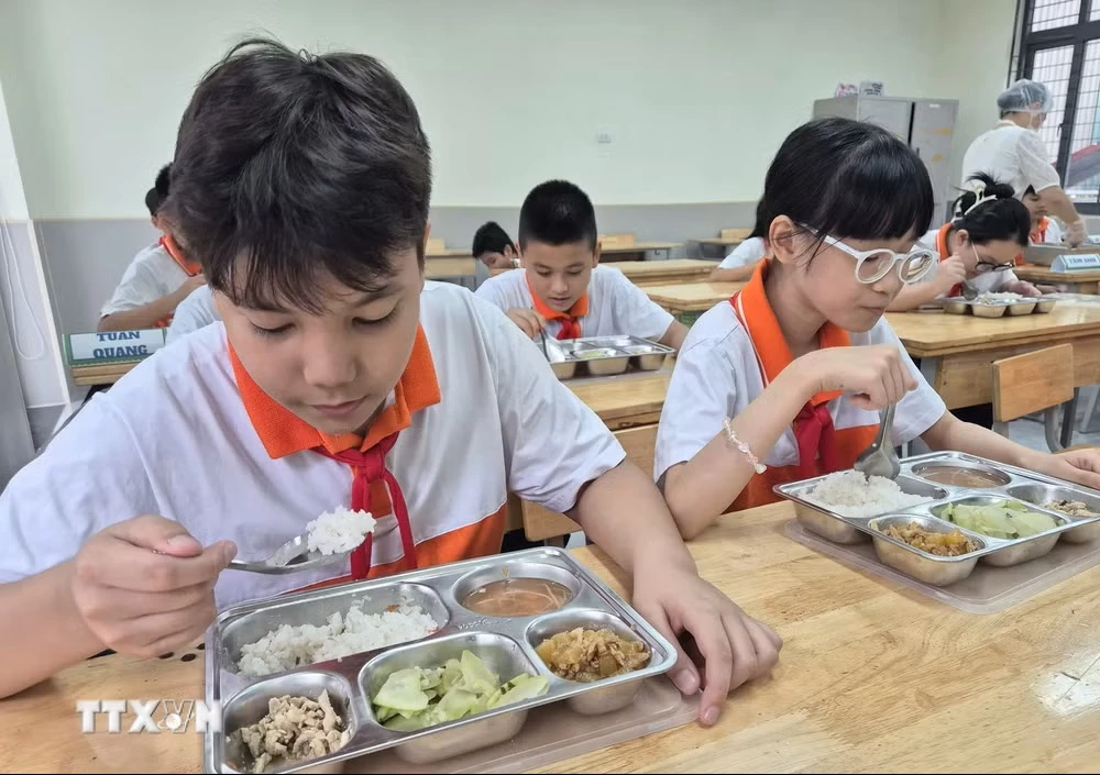 Bữa ăn bán trú phải đảm bảo các điều kiện về an toàn thực phẩm, chất lượng và thời gian phục vụ. (Ảnh: Nguyễn Cúc/TTXVN)