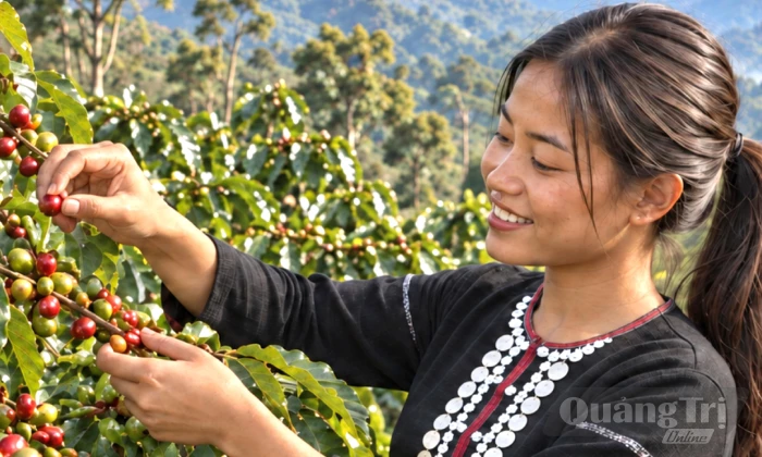 Ấn tượng bộ hình ảnh nhận diện sự kiện 'Theo dấu chân 100 năm cà phê Khe Sanh'