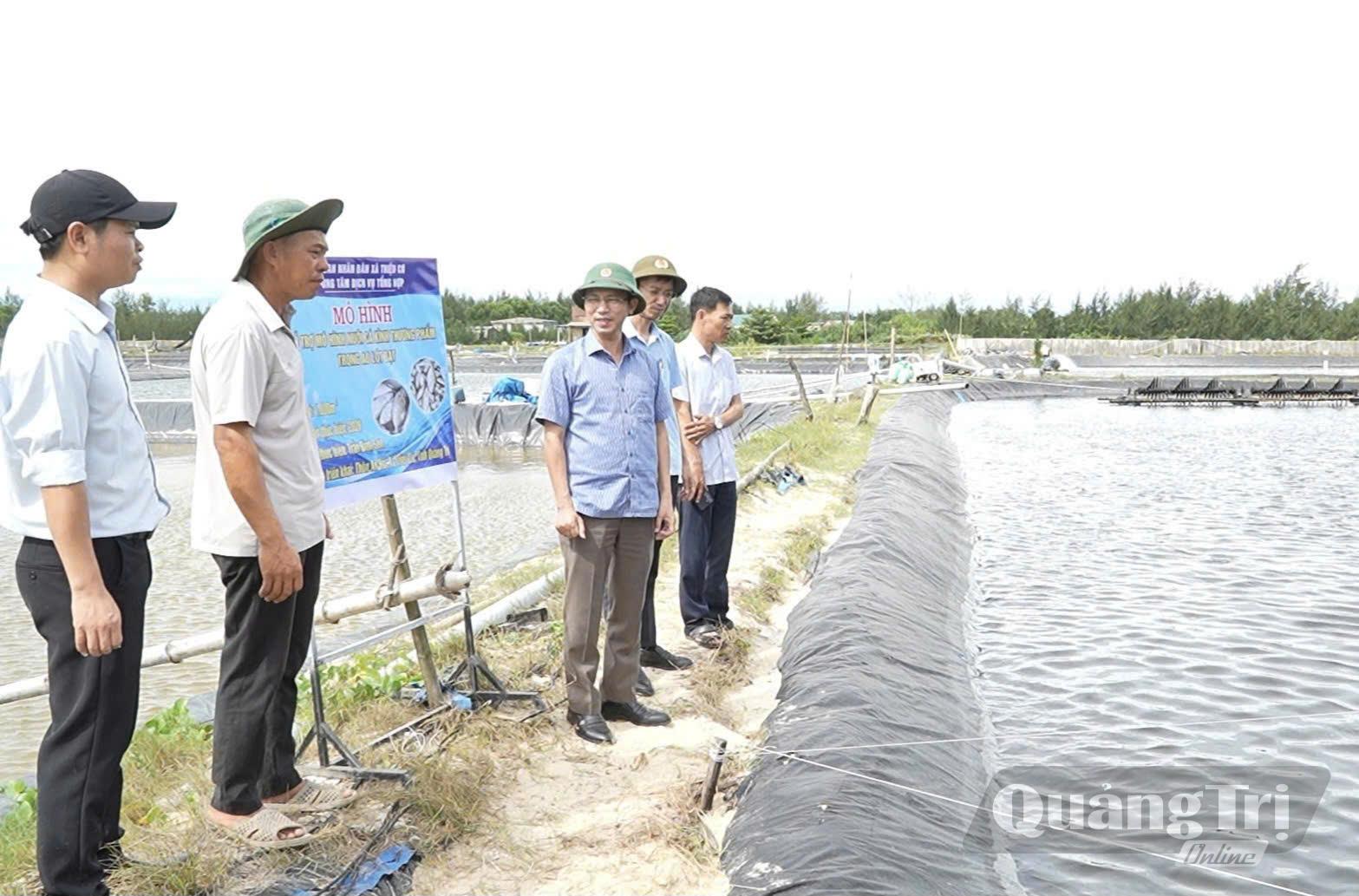 Mô hình nuôi cá kình trong ao lót bạt tại hộ ông Trần Bình Sơn, xã Triệu Cơ - Ảnh: K.S