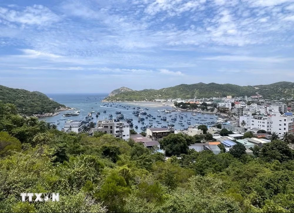 Ảnh minh họa. (Ảnh: Công Thử/TTXVN)