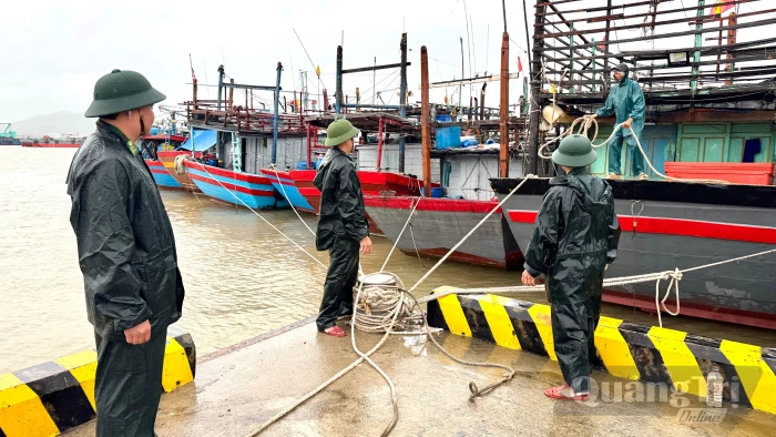Bảo đảm an toàn cho các tàu cá tại nơi tránh trú