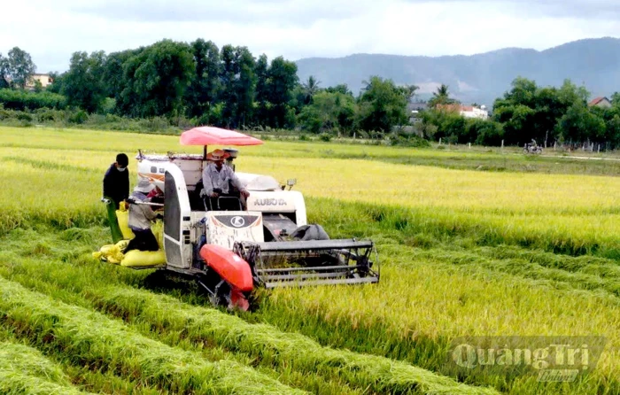Vụ hè-thu đầu tiên