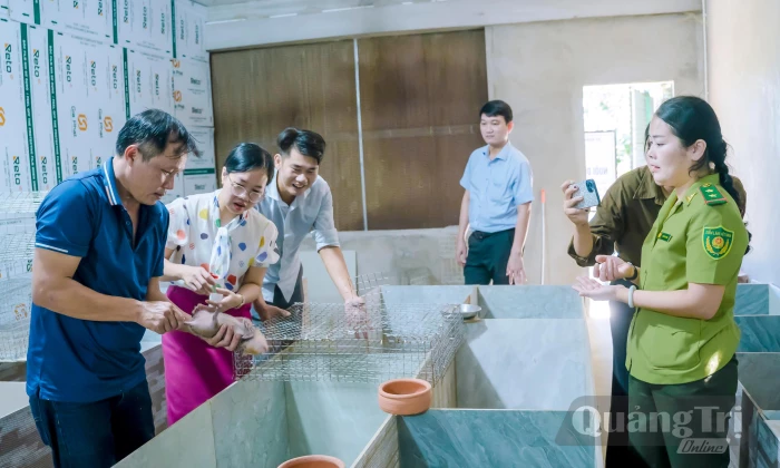 Triển khai mô hình nuôi dúi má đào thương phẩm tại xã Trường Phú