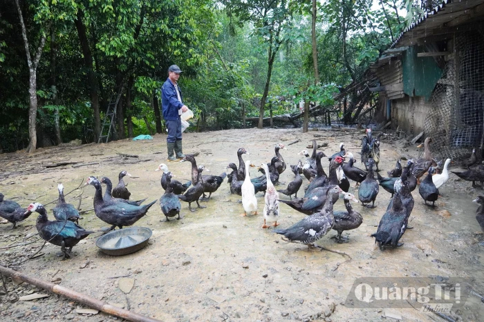 Làm giàu trên vùng đất khó